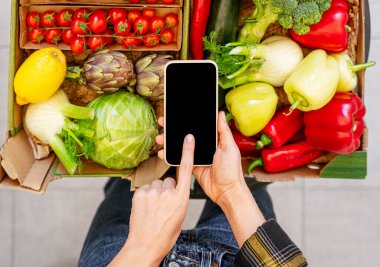 Çiftliğin üstündeki dokunmatik ekranlı telefonu kullanan kadın teslimat kutusunda organik sebzeler yetiştiriyor.