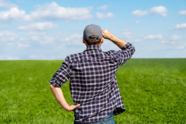 Baharın başında bir erkek çiftçinin kışın buğday tarlasında dikiz aynasından ufka bakarken.
