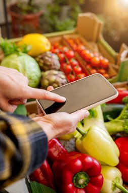 Çevrimiçi taze organik sebze siparişi.