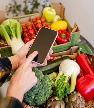 Akıllı telefondan organik çiftlik sebzeleri siparişi veren kişi. Çiftlikten eve teslimat..