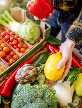 Kadın müşteri organik sebzeleri ve meyve kutularını açıyor.