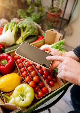 Kadın akıllı telefonu kutunun üstünde taze sebzelerle kullanıyor.