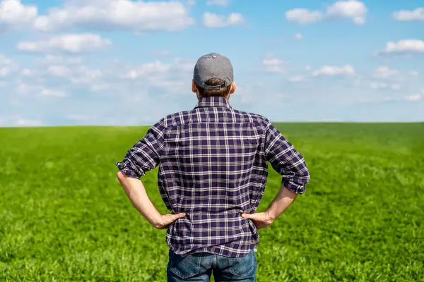 Yeşil tahıl tarlasına bakan erkek çiftçinin dikiz görüntüsü.