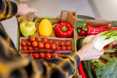 Teslimat kutusundan taze organik ürünlerin paketleri açılıyor.