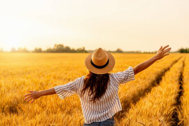 Kaygısız kadın gün batımında altın buğday tarlasında yürüyor doğa ve özgürlüğü kucaklıyor.