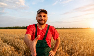 Tahıl tarlasında el sıkışmak için uzanan mutlu çiftçinin bakış açısı