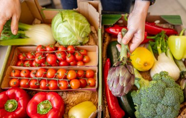 Karton bir kutuda taze organik sebzeler ve meyveler..