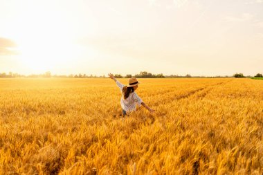 Kolları açık mutlu bir kadın yaz tahıl tarlasında gün batımında özgürlüğün tadını çıkarıyor.