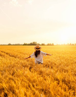Hasır şapkalı kaygısız bir kadının gün batımında altın buğday tarlasında uzanan kollarıyla yürümesi.
