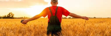 Kırsal yaşamı kucaklayan kolları açık çiftçinin arka planı altın gün batımında buğday tarlasında