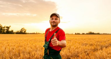 Gülümseyen erkek çiftçi, mısır gevreği tarlasında altın gün batımına karşı dururken başparmak işareti yapıyor.