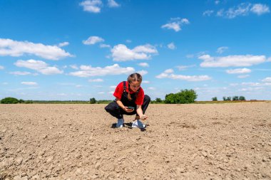 Modern kadın tarım uzmanı tarım arazisindeki akıllı telefonla toprağı kontrol ediyor.