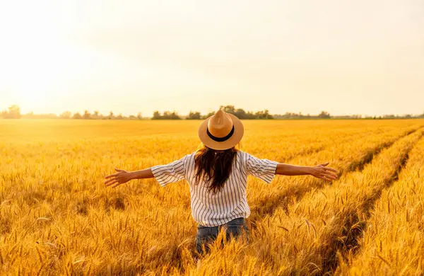 Sıcak güneş ışığı altında kırsal kesimlerde buğday tarlalarıyla çevrili sıradan giysili ve hasır şapkalı bir kadın.