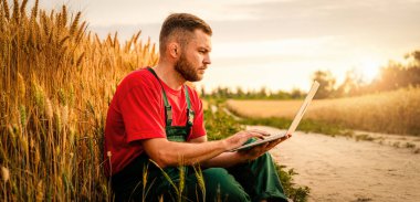 Modern erkek çiftçi mısır gevreği tarlasının yanında dizüstü bilgisayarla çalışıyor.