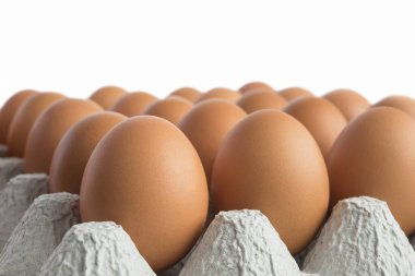 kahverengi yumurta karton tepsisi dolu.