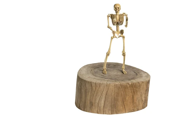 Σκελετοί Στέκονται Στο Ξύλο Διαδρομή Αποκοπής — Φωτογραφία Αρχείου