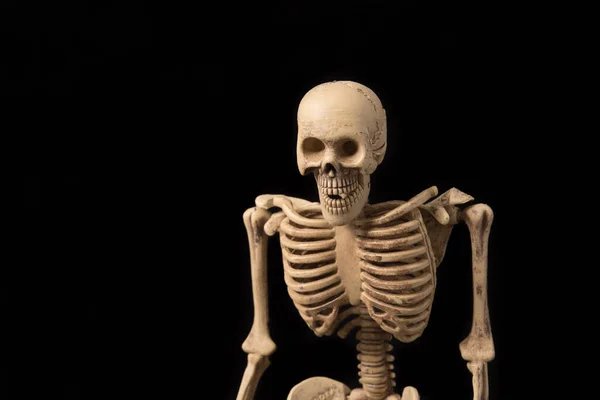 Скелет Человека Черном Фоне — стоковое фото