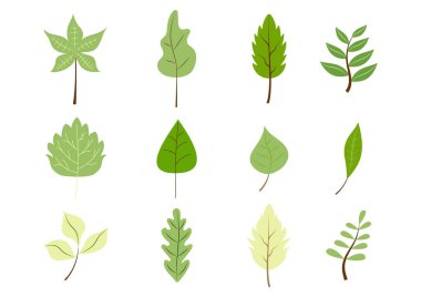 Yeşil yapraklar düz set