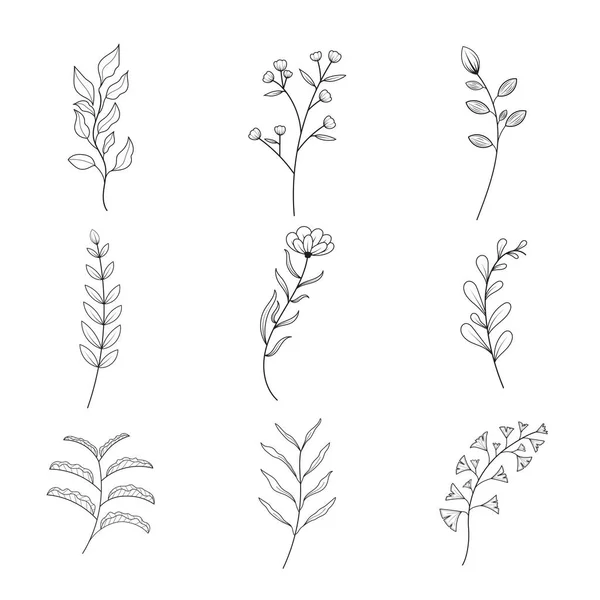 Flores Minimalistas Coleção Botânica Ramo Floral Desenhado Mão Folhas Ervas — Vetor de Stock