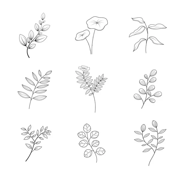 Flores Minimalistas Coleção Botânica Ramo Floral Desenhado Mão Folhas Ervas — Vetor de Stock