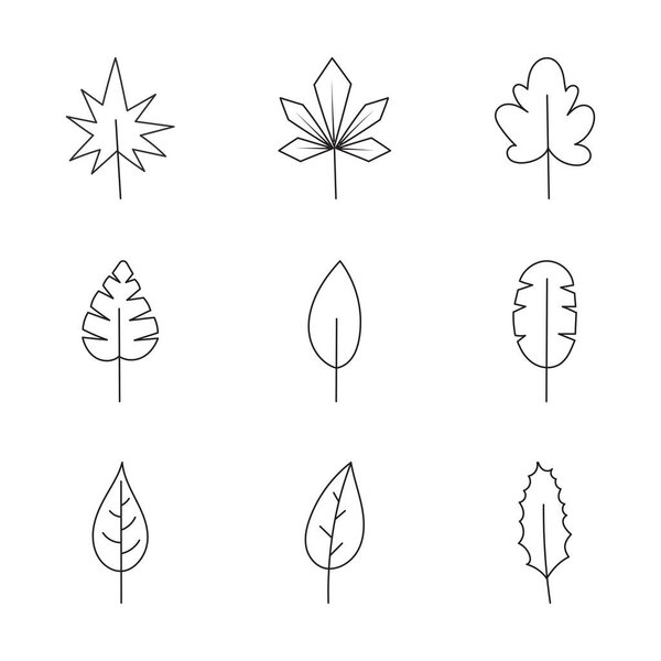 Minimalist leaf collection. Hand drawn branch, leaves herbs and wild plants set in line style.2