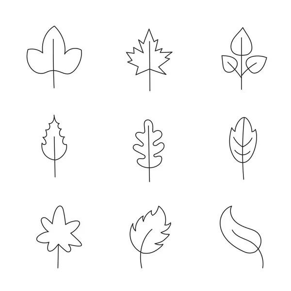 Minimalistische Blattsammlung Handgezeichneter Zweig Blätter Kräuter Und Wildpflanzen Stile Einer — Stockvektor