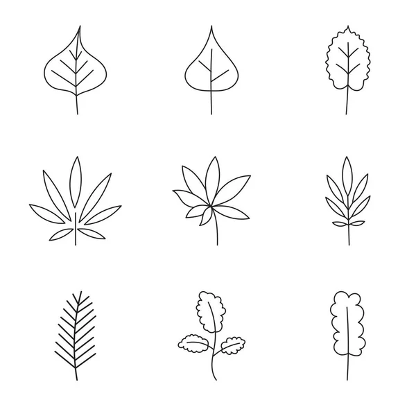 Minimalistische Blattsammlung Handgezeichneter Zweig Blätter Kräuter Und Wildpflanzen Stil — Stockvektor