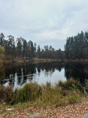 İlkbahar, sonbahar gölü, manzara çam ağaçları doğa, Ukrayna Kiyv