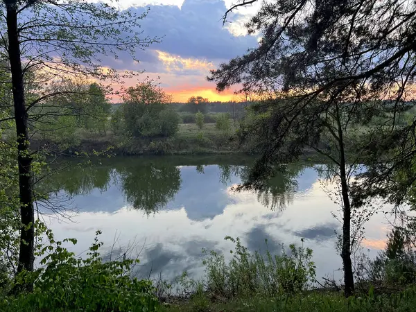 Güzel günbatımı, sakin bir nehre yansıyor. Etrafı ağaçlarla çevrili, Ukrayna 'nın sakin doğal ortamında.