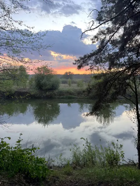 Güzel bir bahar günbatımı doğal manzara nehir kenarı, orman, orman. Dramatik akşam gökyüzü