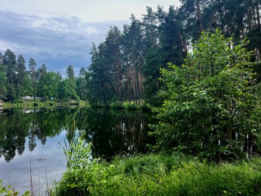 Güneşli bir günde Summer Lake Bankası. Pushcha Vodytsia Bölgesi