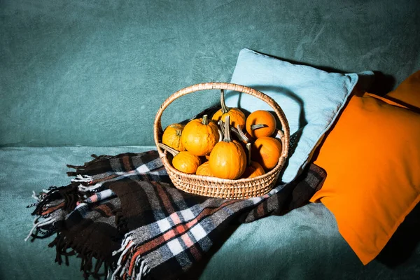 Straw Basket Pumpkins Sofa Autumn Room Decor Coziness Warmth High — Stock Photo, Image