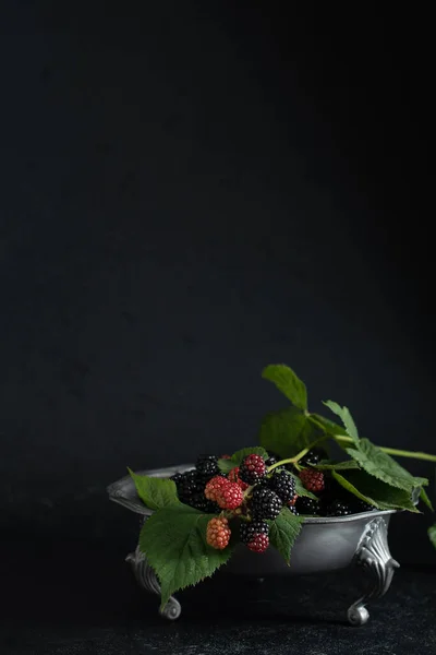 stock image A full plate of the ripe blackberries, and a sprig of red blackberries on a pewter bowl on the dark background, copy space,High quality photo