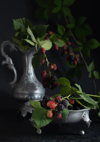 Full Plate Ripe Blackberries Sprig Red Blackberries Pewter Bowl Dark — Stock Photo, Image