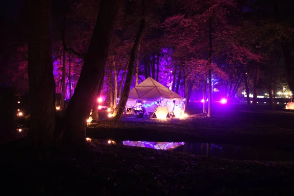 Neon Ljus Nattshow Park Stadssjö Genk Belgien Träd Belysta Fascinerande Stockbild