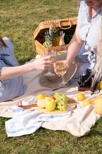 a two young women in a summer long dresses is resting on a picnic, a Blanket with cheese plate and fruits, rest from worries and household chores, parks and recreation areas,.High quality photo
