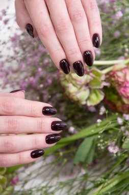 Güzel koyu kırmızı manikürlü kadın elleri bir buket çingene çiçeği tutuyor. Yüksek kalite fotoğraf