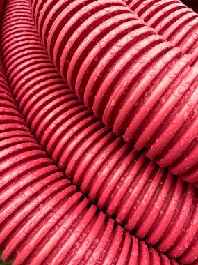 pile of plastic pipes wet from the rain, corrugated burgundy pipes, magenta abstract texture background, color of the year, High quality photo