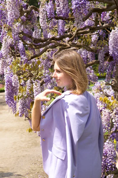 A young woman in a lilac jacket poses near the flowering wisteria in the Botanical Garden. High quality photo