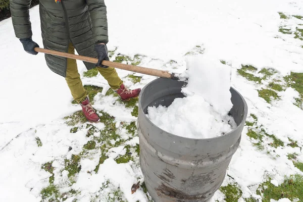 a middle-aged woman is collecting snow in a barrel with a shovel. For further watering plants in a greenhouse, the concept of protecting the environment and conserving natural resources
