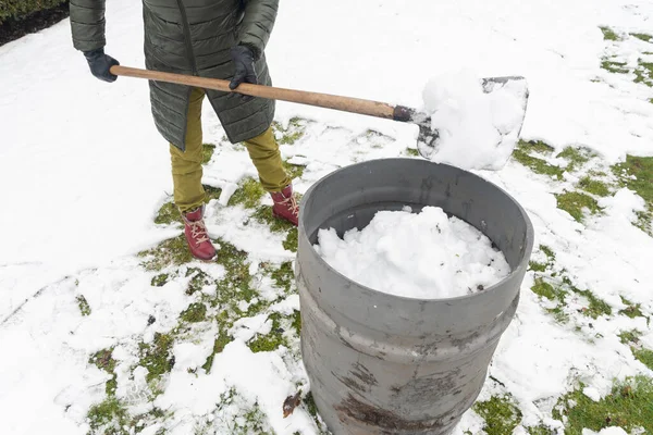 a middle-aged woman is collecting snow in a barrel with a shovel. For further watering plants in a greenhouse, the concept of protecting the environment and conserving natural resources