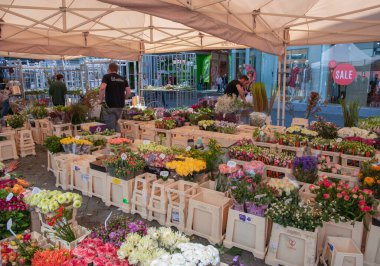Fiyat etiketleri, Maastricht, Hollanda, 27 Ağustos 2021, yüksek kaliteli fotoğraf, pazarda farklı çiçekler satılmaktadır.