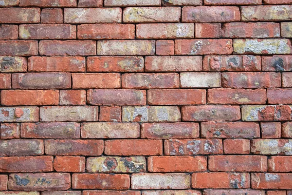 Szorstki Czerwony Kamień Cegły Ściany Tekstury Tła Abstrakcyjne Tło Wysokiej — Zdjęcie stockowe