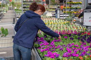 A young woman in a mask chooses and buys seedlings in a garden center with a large assortment of plants, a woman enjoys hobbies and leisure activities, growing plants and flowers in her garden