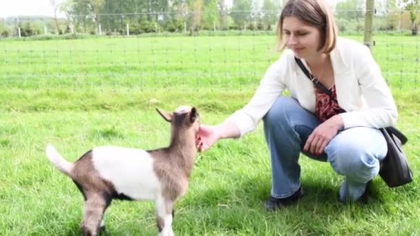 Jeune Femme Joue Avec Les Enfants Chèvre Les Nourrir Soleil — Video