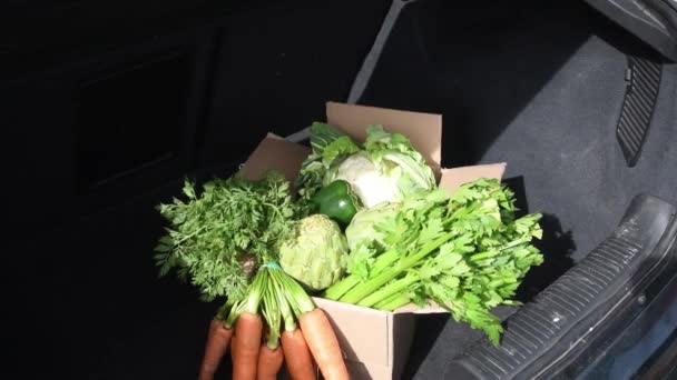 Μια Γυναίκα Ξεφορτώνει Μπαούλο Μετά Ψώνια Βγάζει Ένα Κουτί Λαχανικά — Αρχείο Βίντεο