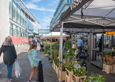 İnsanlar 27 Ağustos 2021 'de Hollanda' nın Maastricht kentindeki merkez meydandaki çiçeklerin çeşitliliği arasında yürüyorlar. Yüksek kalite fotoğraf