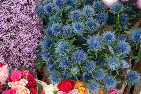 stock image different flowers are sold in the market in baskets, with price tags, High quality photo