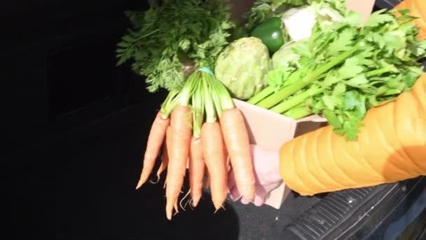 Kobieta Umieszcza Pudełko Warzyw Świeżymi Warzywami Bagażniku Samochodu Zakupach Wysokiej — Wideo stockowe