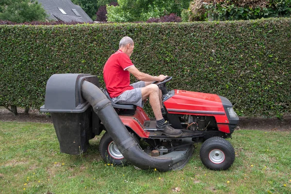 Gräsklippare Klipper Gräset Medelålders Manlig Trädgårdsmästare Arbetar Mini Traktor Trädgården — Stockfoto
